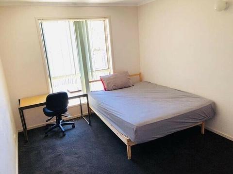 **ROOM FOR RENT IN BRUCE** 180$/week