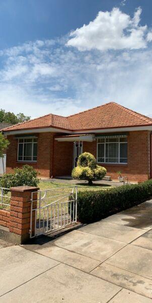 House For Rent - Marden SA