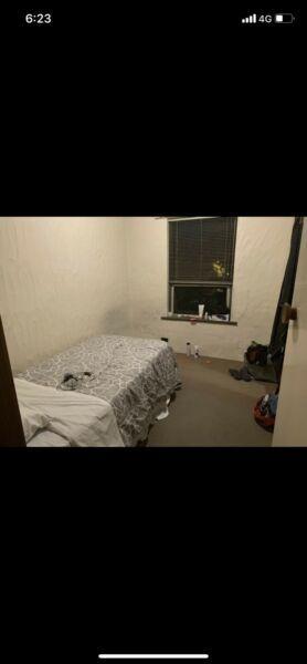 Room for rent Glenelg $150pw all bills included