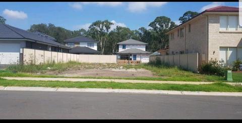 REGISTERED LAND / 451SQM / READY TO BUILD IN EDMONSON PARK