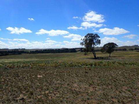 40 Acres, level, fenced, ideal to build the perfect weekender