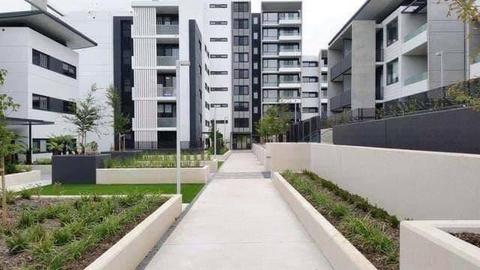 Single room for rent in Woden apartment