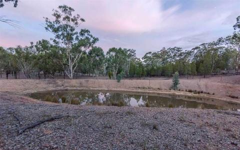 Cheapest 9 Acres on the Darling Downs - Warwick District - QLD