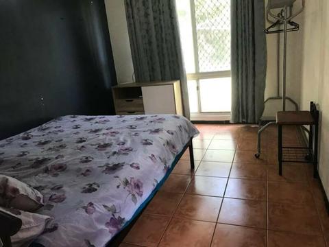 Shared house room for rent in Palmerston
