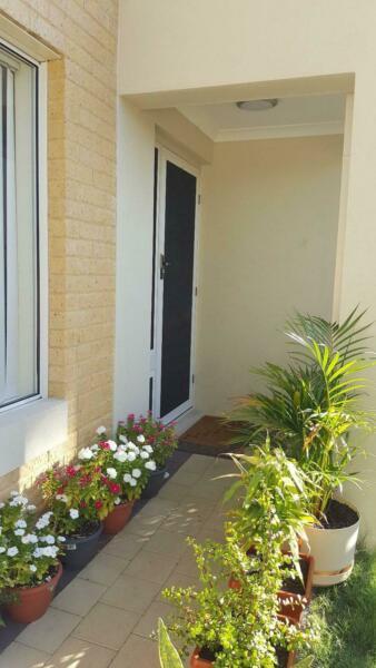 A Clean and tidy 2 story house in CANNINGTON