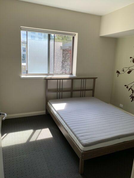 Decent room in secured apartment for rent - East Perth