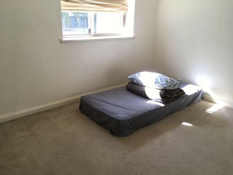East Perth apartment room for rent
