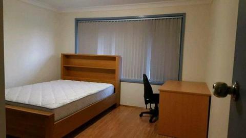 Furnished large queen bed room in Punchbowl ( 10min walk to stati