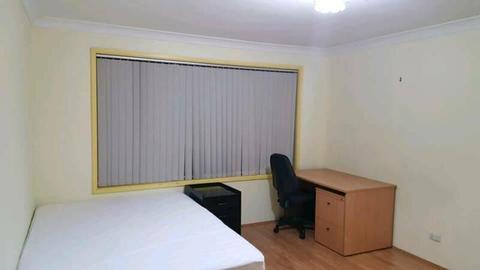 Clean, tidy, v big bed room in Punchbowl ( 10min walk to station)