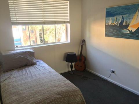 Room Available - Dee Why