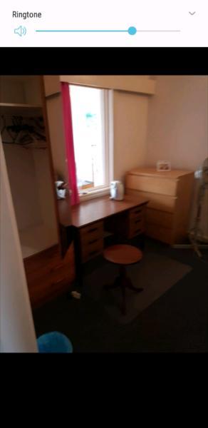 Good size room for rent in Rosebery $210