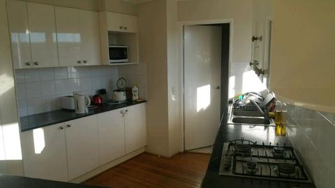 Pyrmont double room for rent