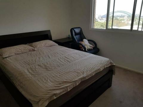 Waverton, Large Master Bedroom (15m2) with ensuite $330pw