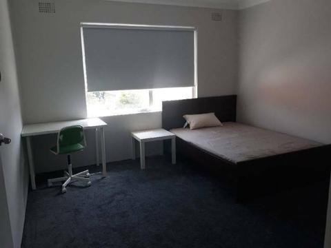 large furnished room in marrickville / dulwich hill for rent $230