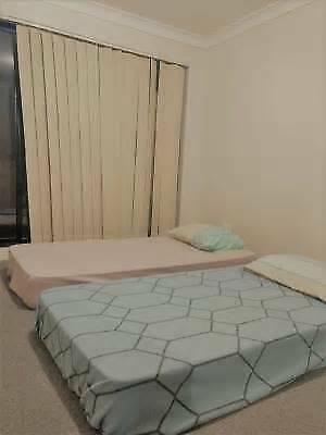Shared room available for rent