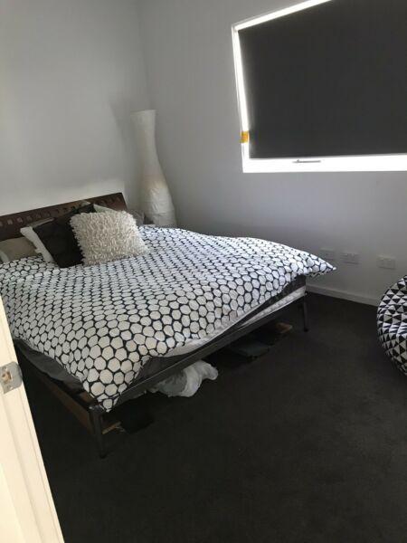 Room for rent (share house)