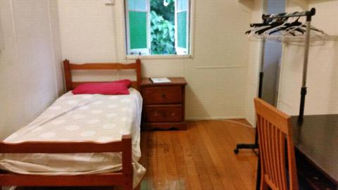 LARGE SPACIOUS SINGLE only $130 WALK TO TOWN clean BILLS