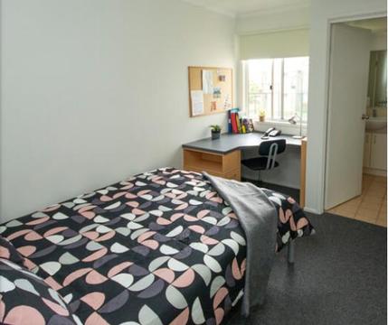 Cheap Student Accommodation Sippy Downs QLD 4556
