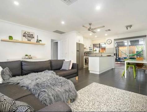 A Flat To Rent Close to Flinders Uni