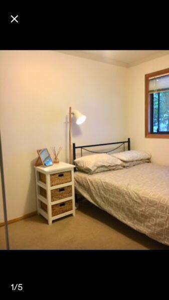 Room for rent in Dynnyrne $135