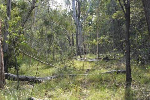 40 Acre Bush Block with Seasonal Creek at Talegalla Weir QLD 4650