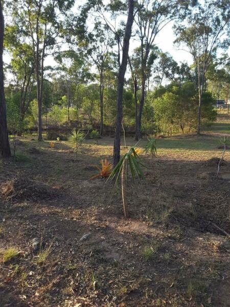 Land for Sale 5 Acres Childers QLD