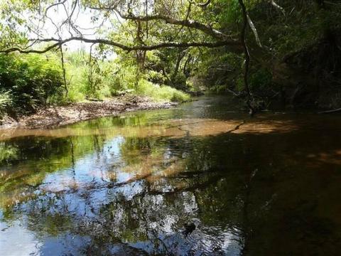 20 ACRES RIVERFLAT - CREEK - 2 TITLES $150,000