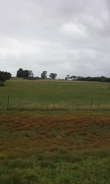 HAWKESDALE 22 ACRES