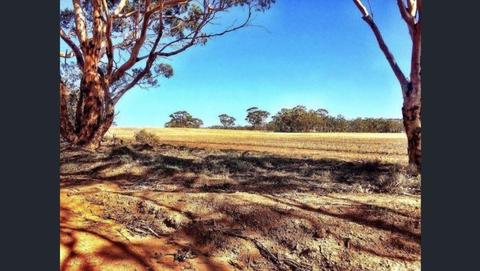 130 acres ( 53.3ha ) land only 138kms from Perth