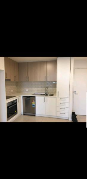 Two bedroom new apartment for rent in Gungahlin