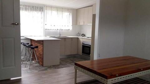 BRAND NEW - SPACIOUS 1 BED GRANNY FLAT Unit House Rent GRANVILLEI
