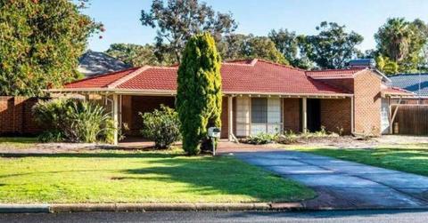 house for rent in willetton/bullcreek zone