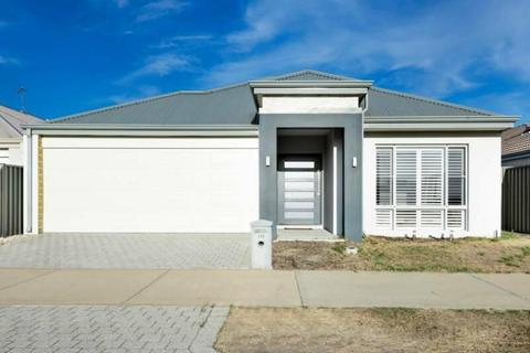 172 Honeywood Avenue, Wandi $450 pw