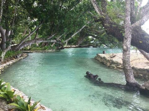 Vanuatu Paradise for sale