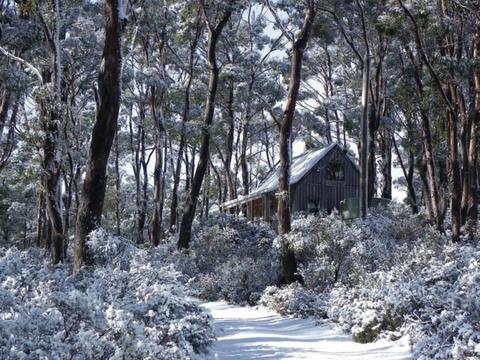 CRADLE MOUNTAIN LOVE SHACK (lifestyle/business) FOR SALE!!!