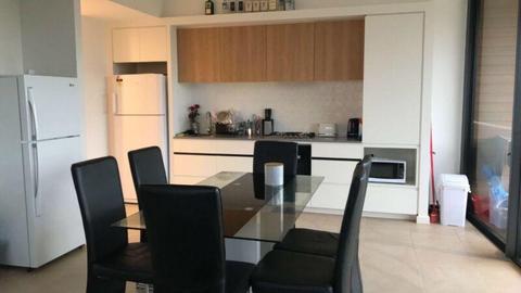 ShareRoom In glebe near CBD Sydney 200$/week