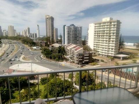 Share room in Surfers Paradise