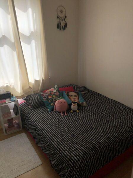 Room available in Manly