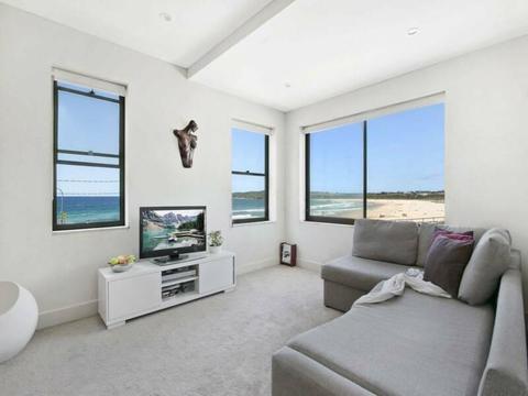 Maroubra beach room short-term 12 weeks for Chinese-English study