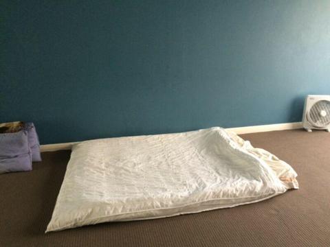Edgecliff large room avail for 4weeks