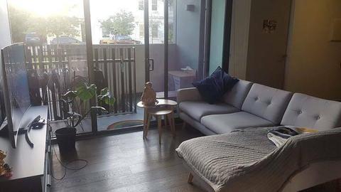 1 Bedroom Apartment, Carlton, Melbourne $440PW