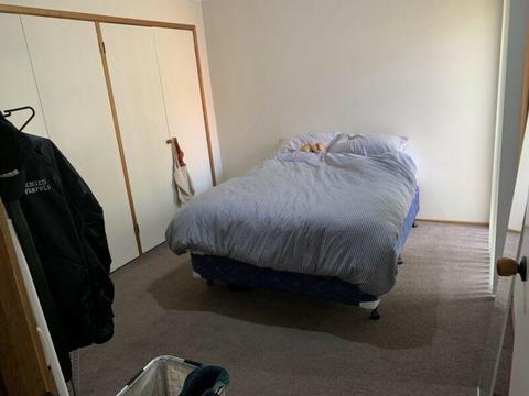 Room available in Florey