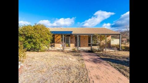 Two rooms available in Banks Tuggeranong