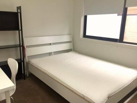 Lawson single room with own bathroom for rent