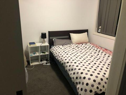 Room available in a 2 bed room apartment in Wright 2611