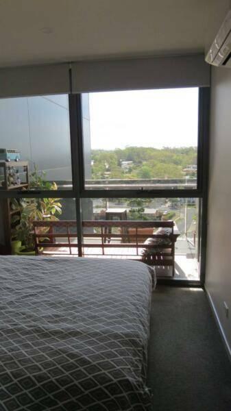 Penthouse room for rent in Phillip