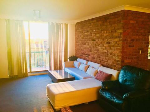 Spacious single room in a 2 BHK close to strathfield station