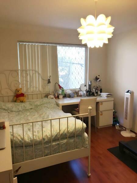 【Strathfield】1 single room for rent~FEMALE only~Great location!!