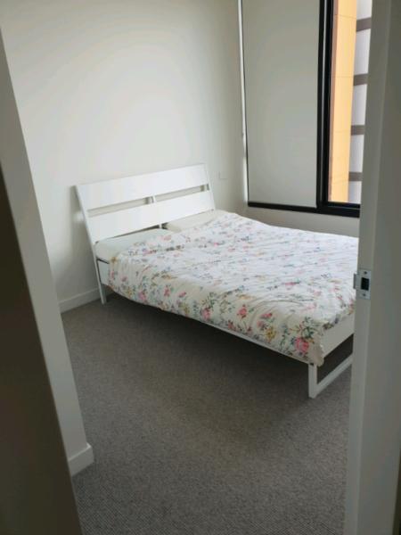 Private room in North Ryde $250 to rent