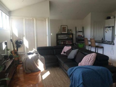 Room for rent in beachy Elwood